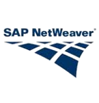 Picture of Excel Add-In for SAP NetWeaver